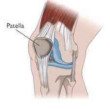 Patellar-Instability.jpg